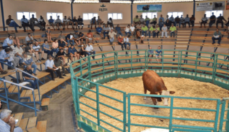 HartebeestFarmers10Years29052017