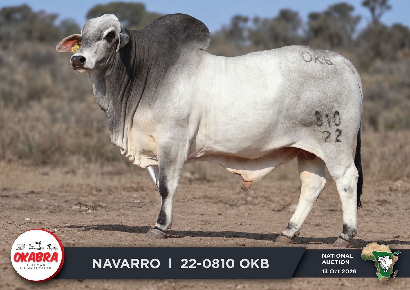 22-0810OKB