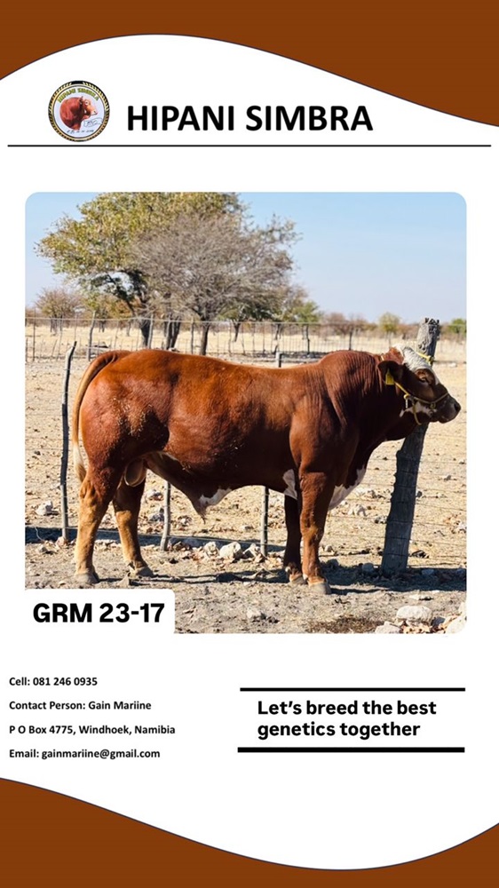 GRM2317