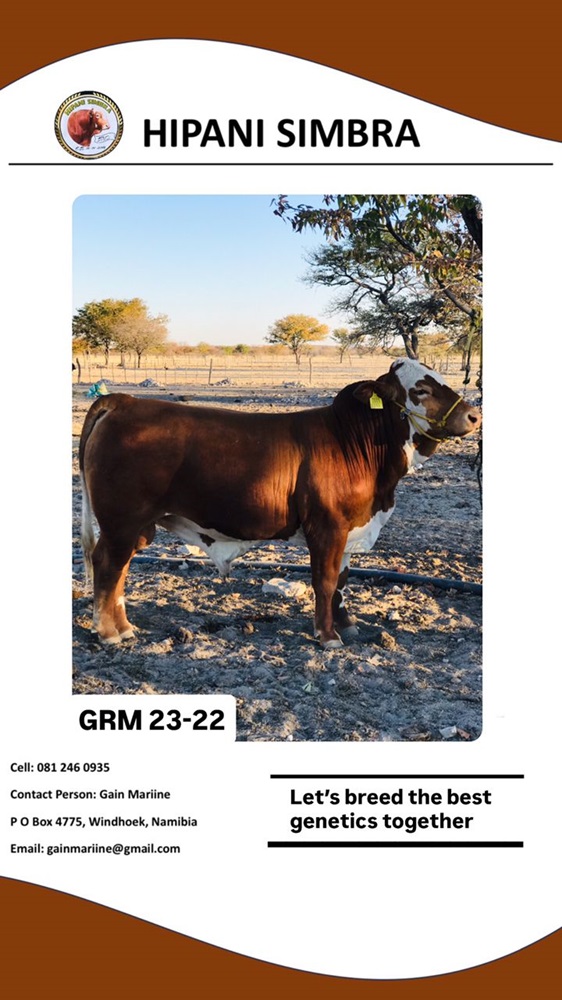 GRM2322