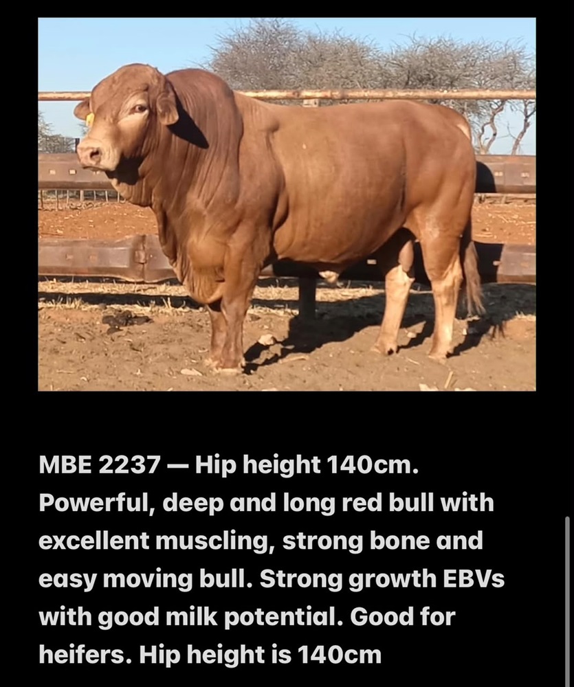 MBE2237