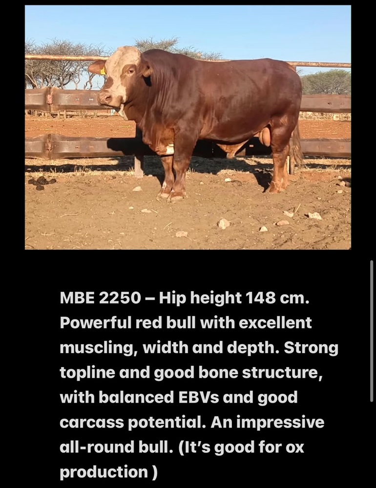 MBE2250