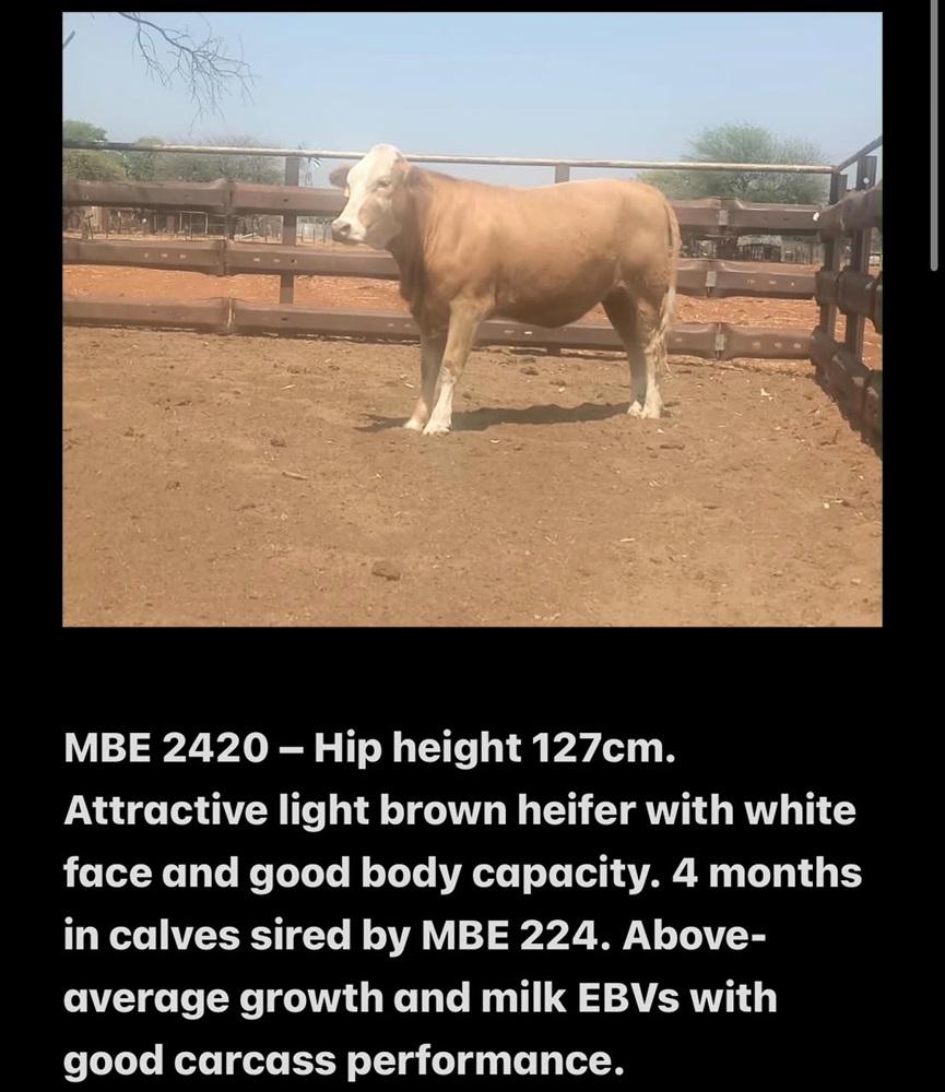 MBE2420