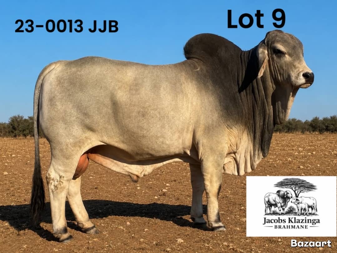 23-0013JJB