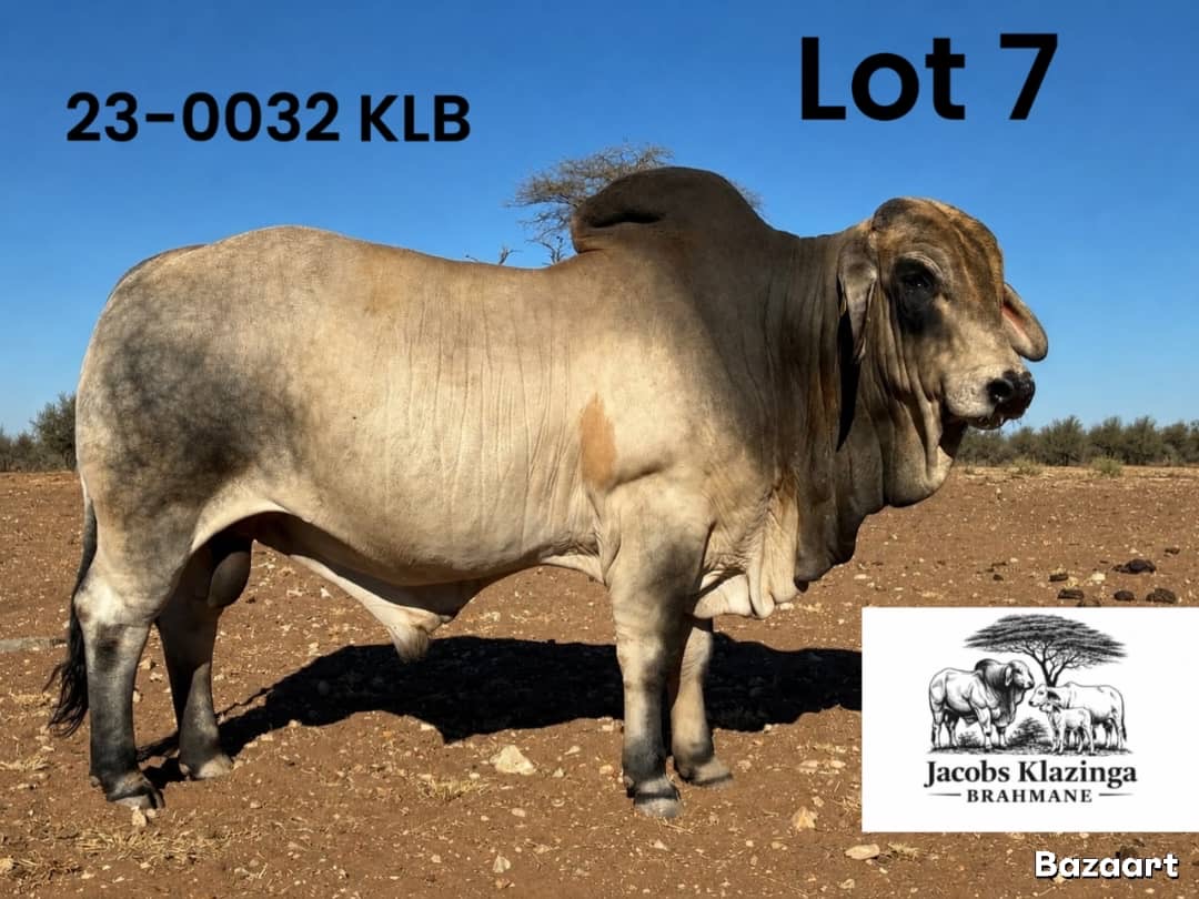 23-0032KLB