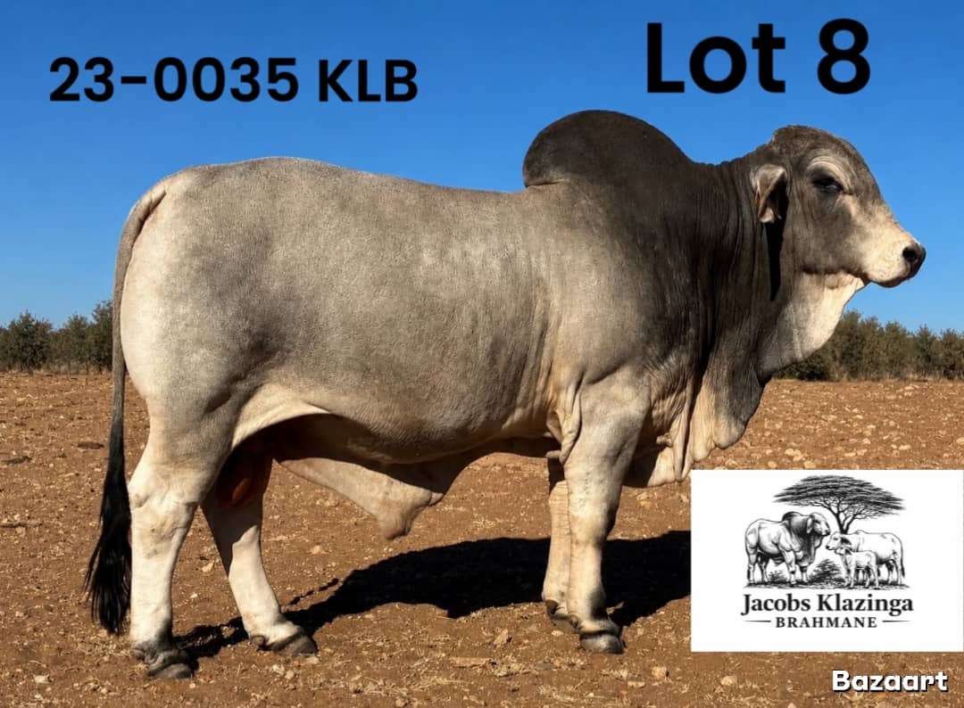 23-0035KLB