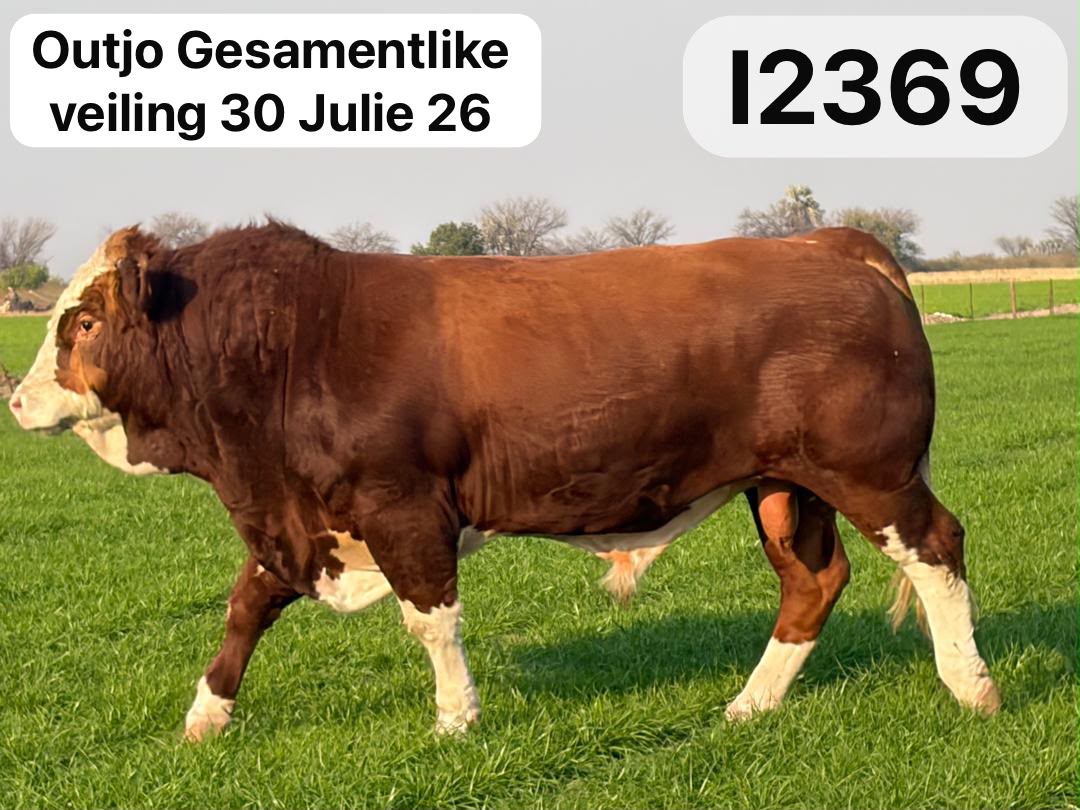 I2369