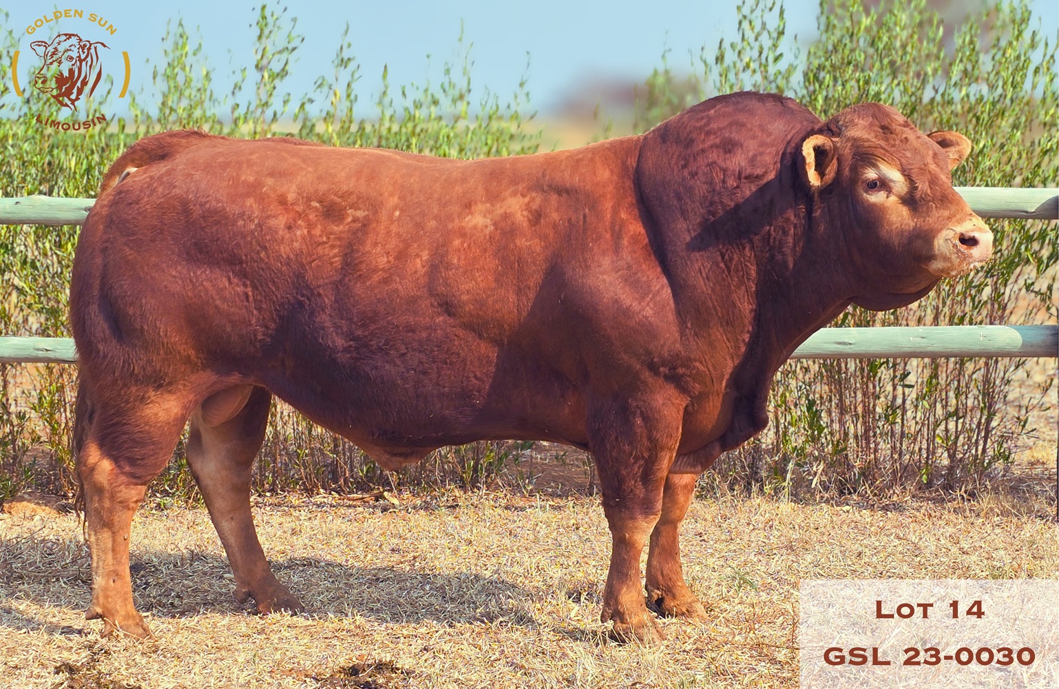23-0030GSL