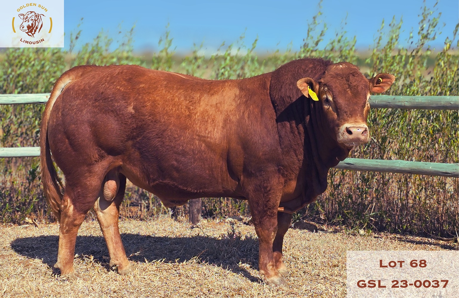 23-0037GSL