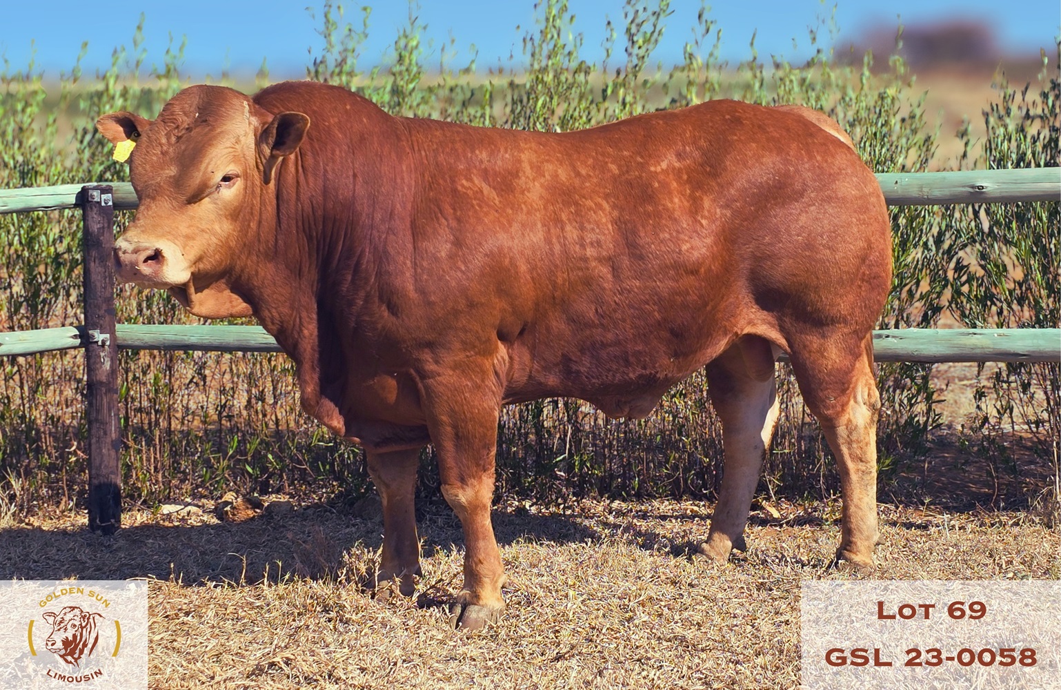 23-0058GSL