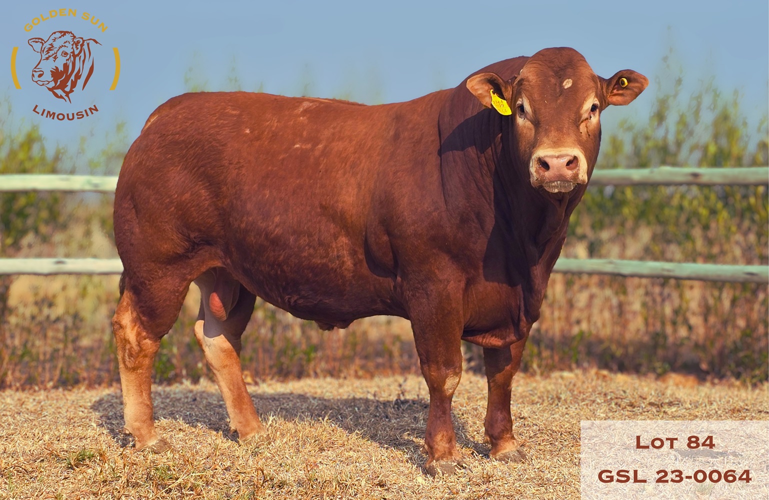 23-0064GSL