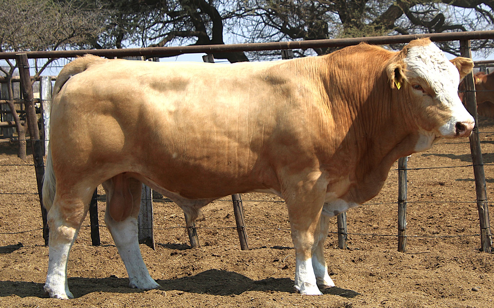 TG22-93