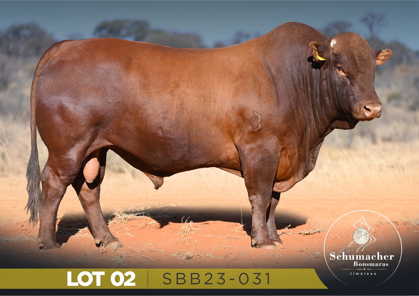 LOT 2