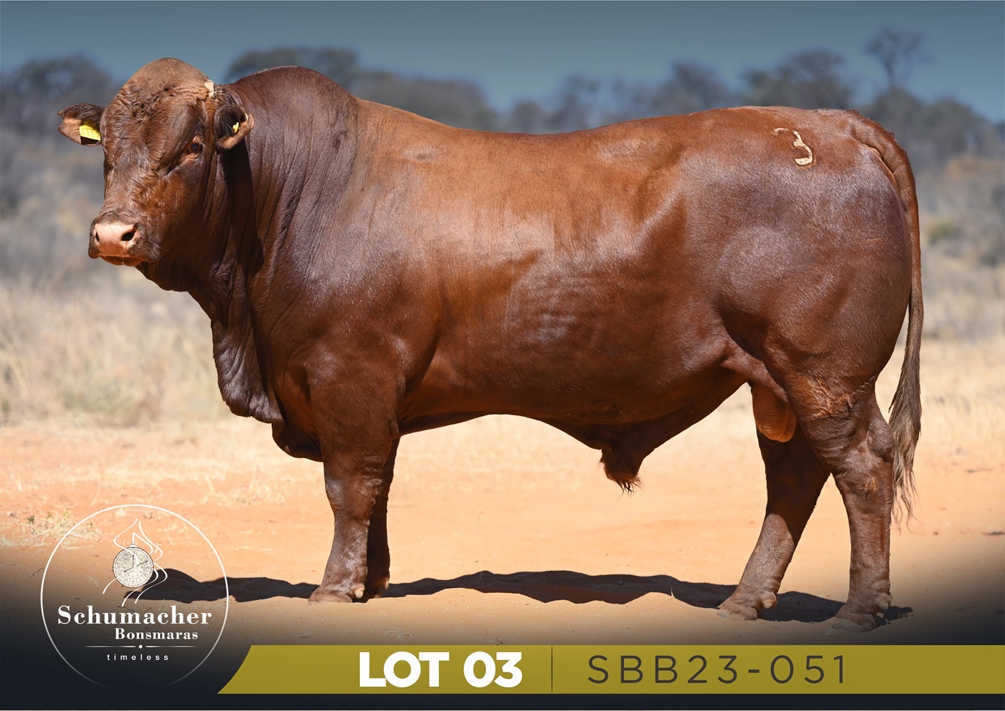 LOT 3