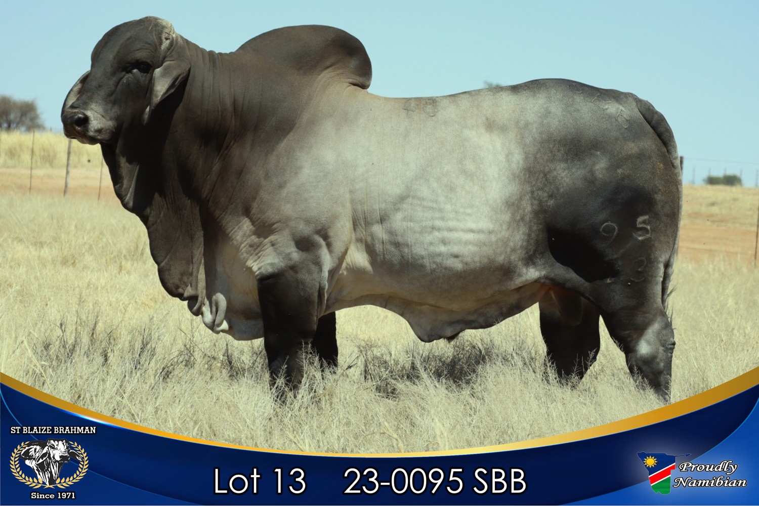 LOT 13