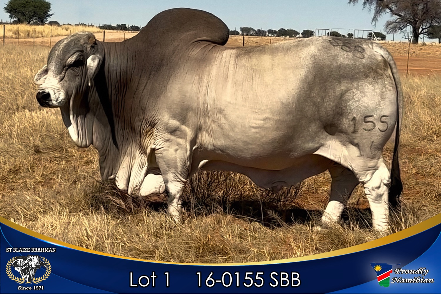 LOT 1