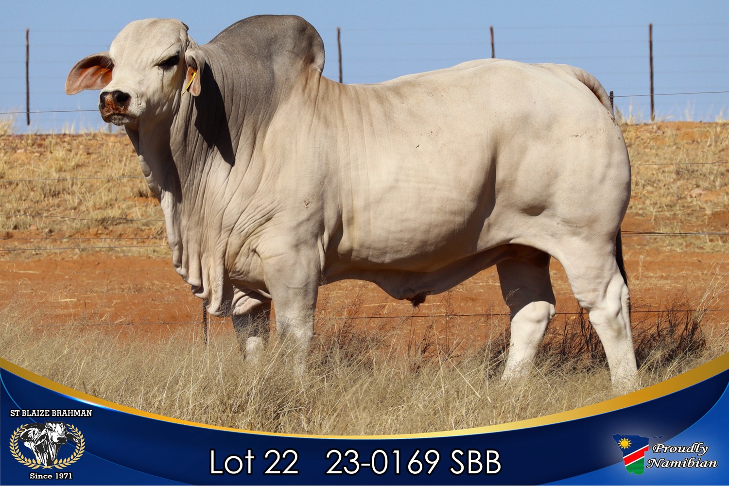 LOT 22