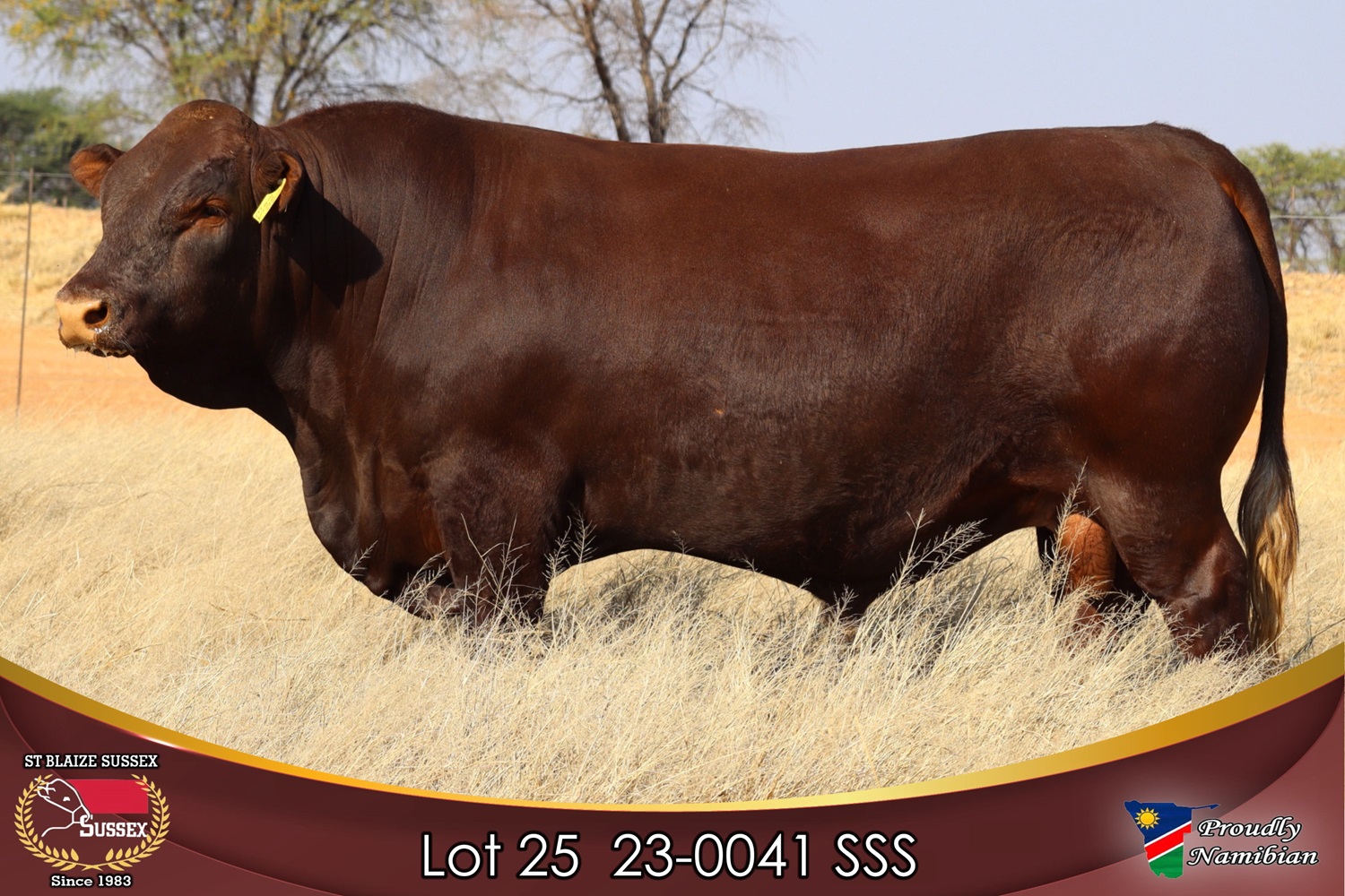 LOT 25