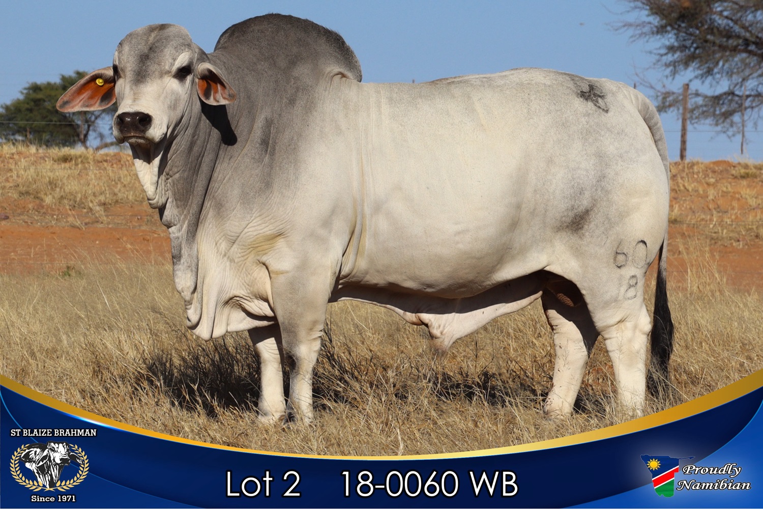 LOT 2