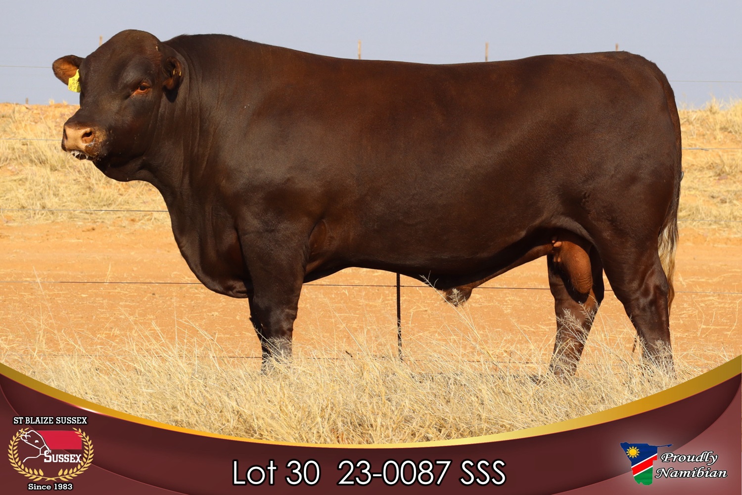 LOT 30