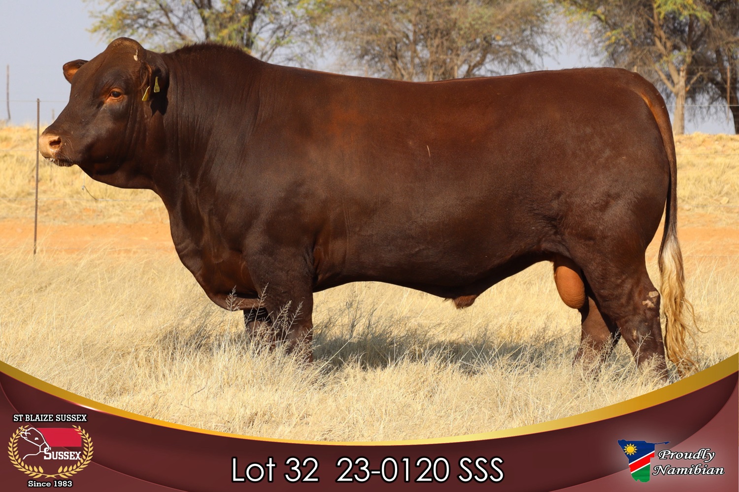 LOT 32