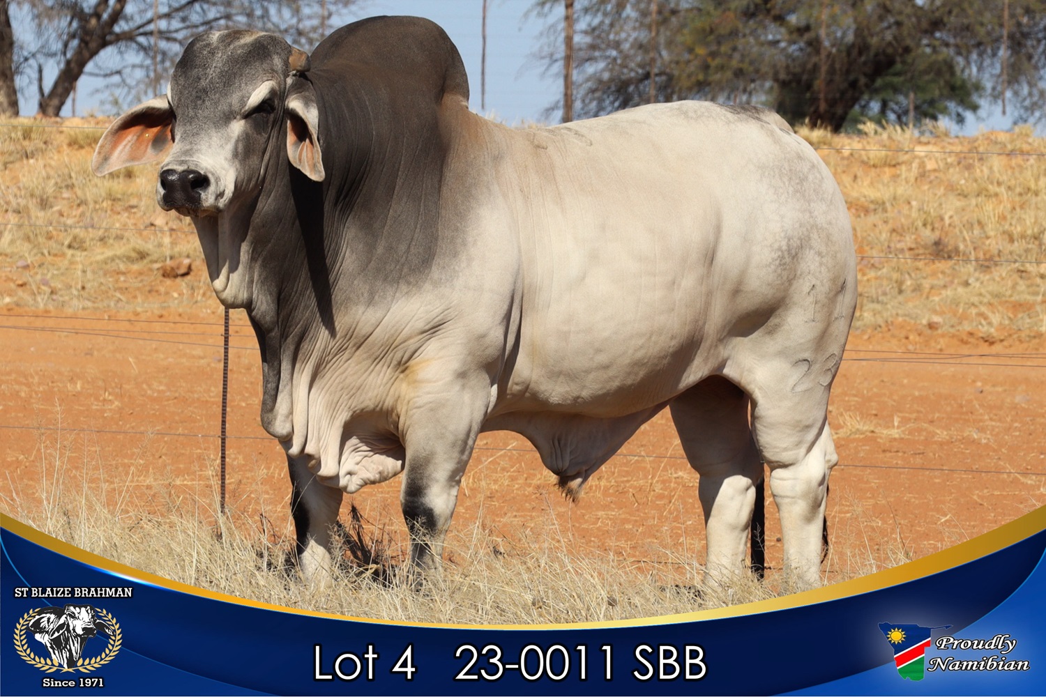 LOT 4