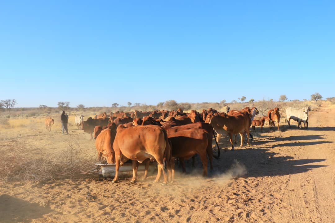 Pic_36 Agra Namibia - Agra Namibia