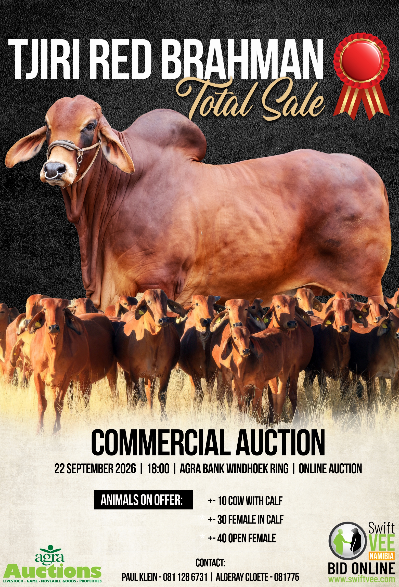 tjiri Red Brahman poster final website page 0001