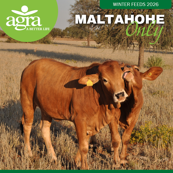 WINTER FEEDS PROMOTION - Maltah&ouml;he