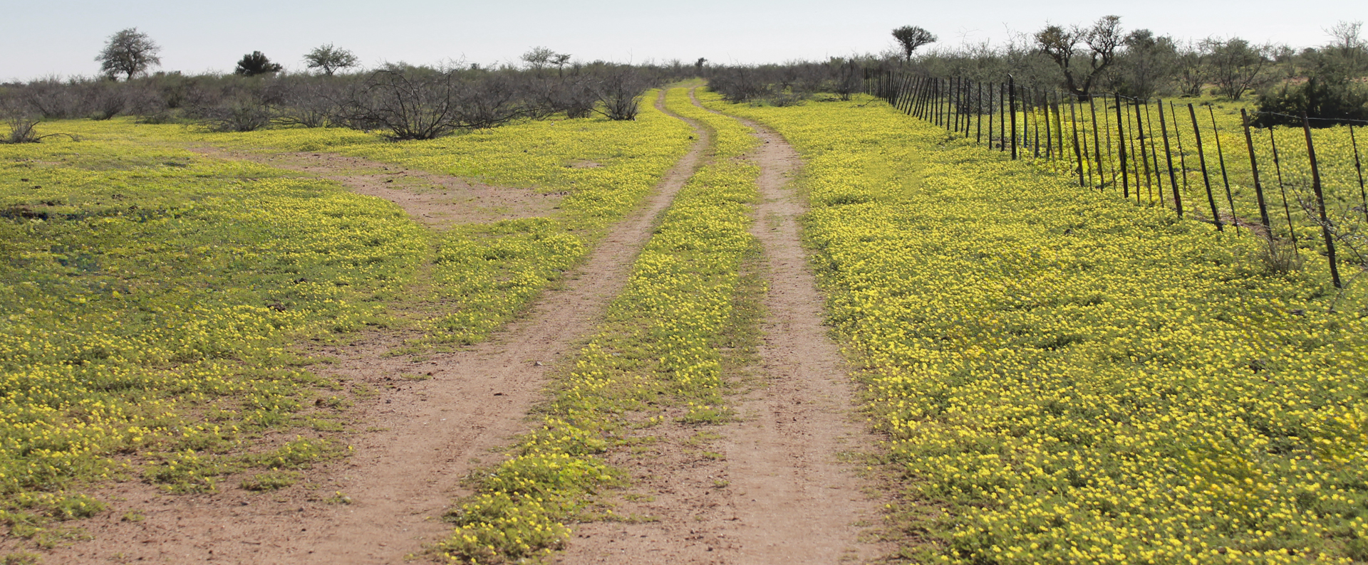 BANNERHomepage Home - Agra Namibia
